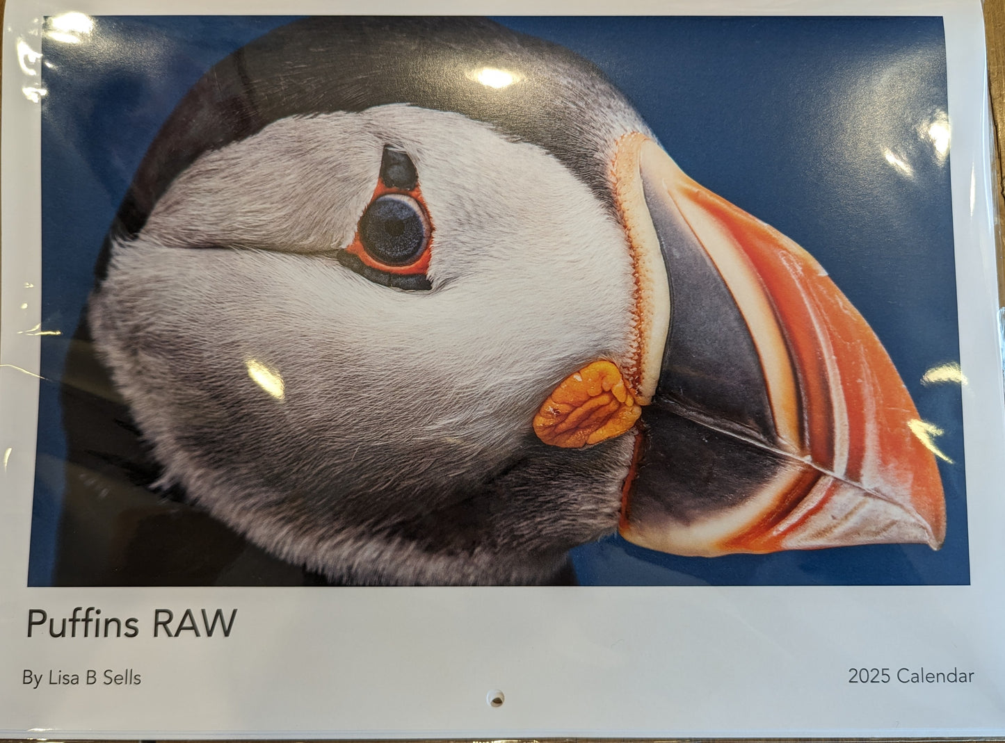 2025 Puffin Calendar (by Lisa Sells)